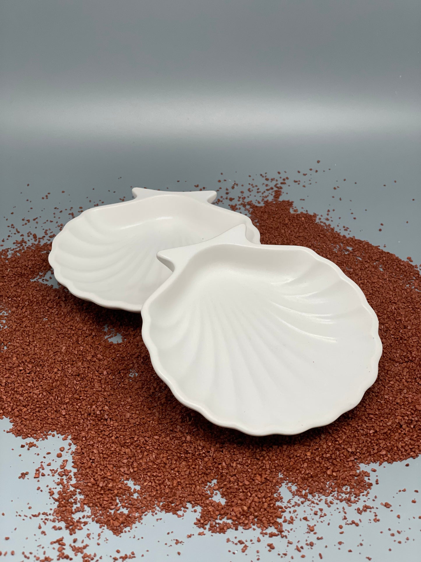 Conchiglia piatto