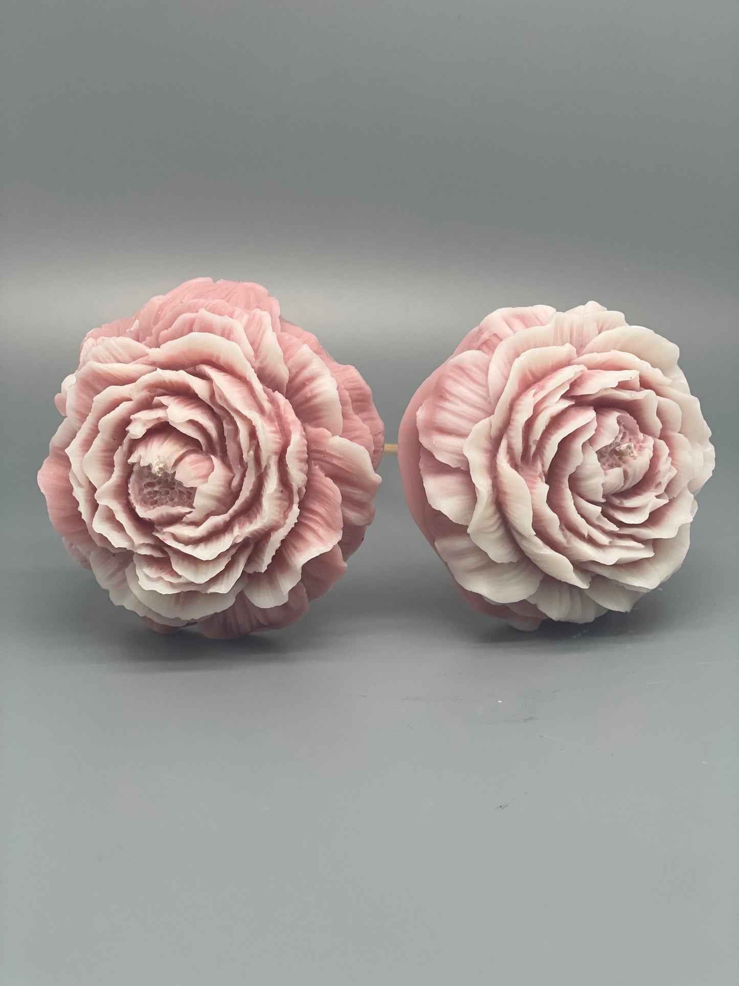 Peonia